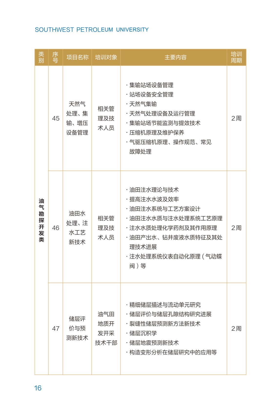 西南石油大學2023年培訓計劃（單頁版）_21