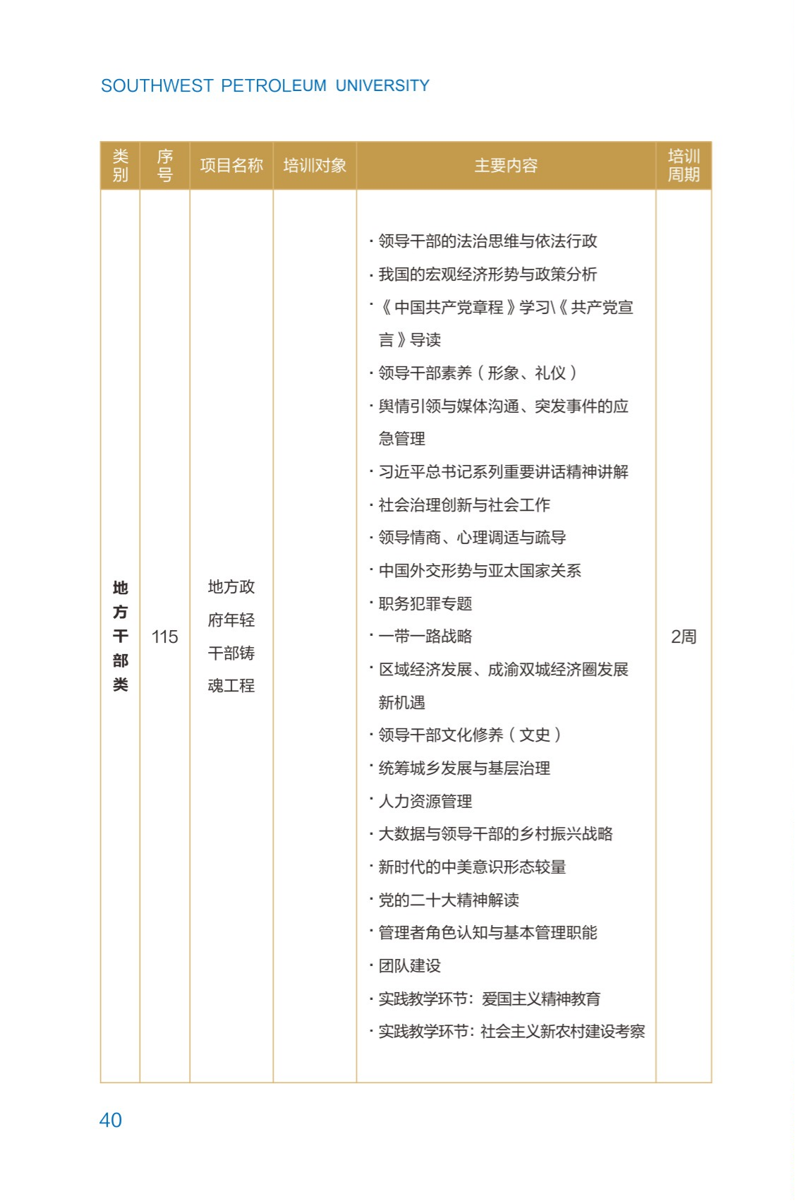 西南石油大學2023年培訓計劃（單頁版）_45