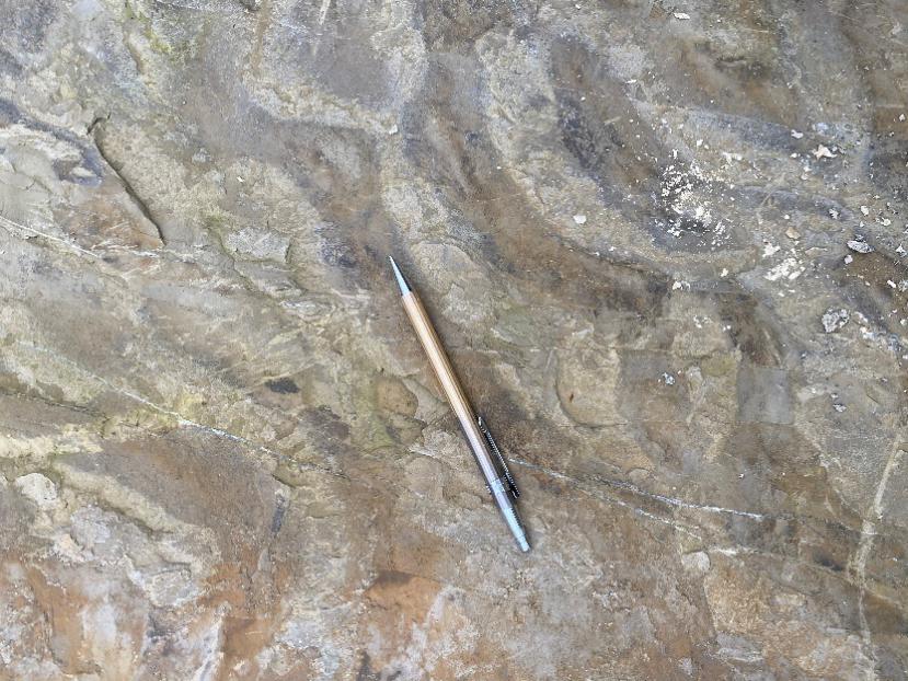 說明: http://zq.swpu.edu.cn:8080/_vsl/1C328431FE64D283390C1A4547A65DE0/A7F108A3/1CB8A 說明: http://zq.swpu.edu.cn:8080/_vsl/1C328431FE64D283390C1A4547A65DE0/A7F108A3/1CB8A