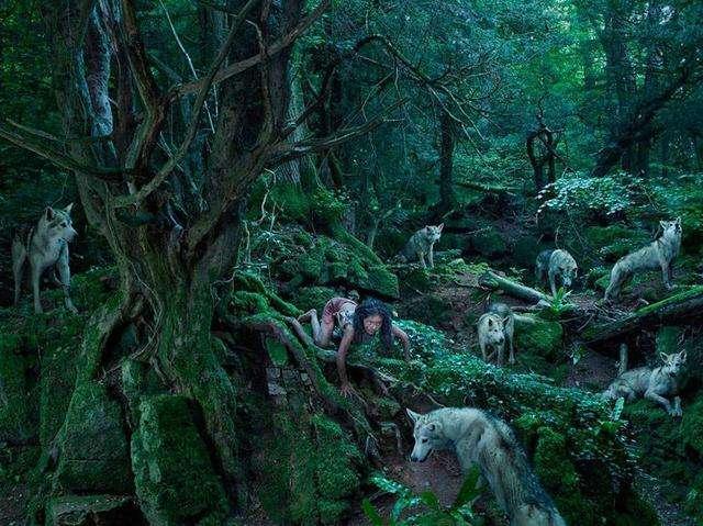 讀經明義丨《禮記》:人不學 不知道