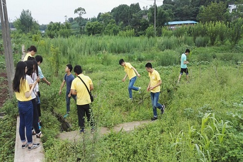 實踐隊員們在田間地頭深入考察