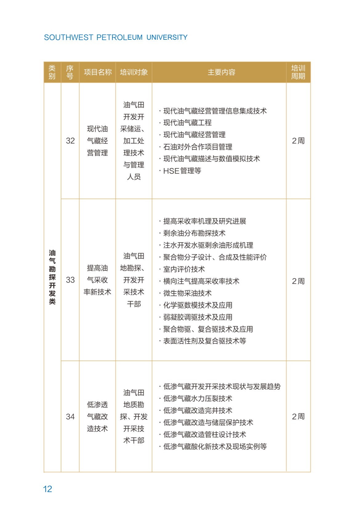 西南石油大學2023年培訓計劃（單頁版）_17