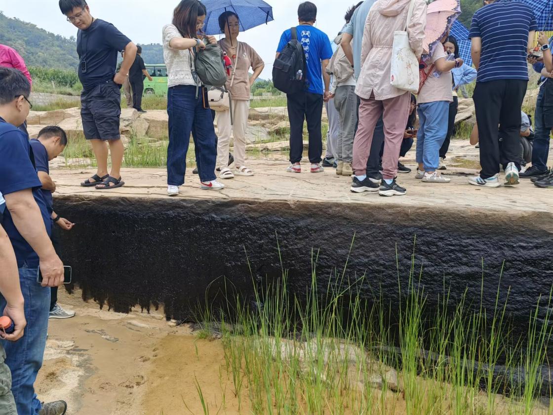 _-1929844643_IMG_20230820_110554_1692500757000_wifi_0