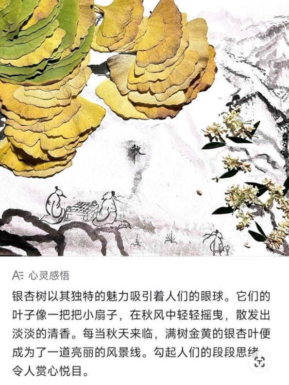 http://www.2mdqqw1.xyz/__local/9/90/AD/BCFAB2615837594C99BE75EBAC8_078AA976_266C0.jpg