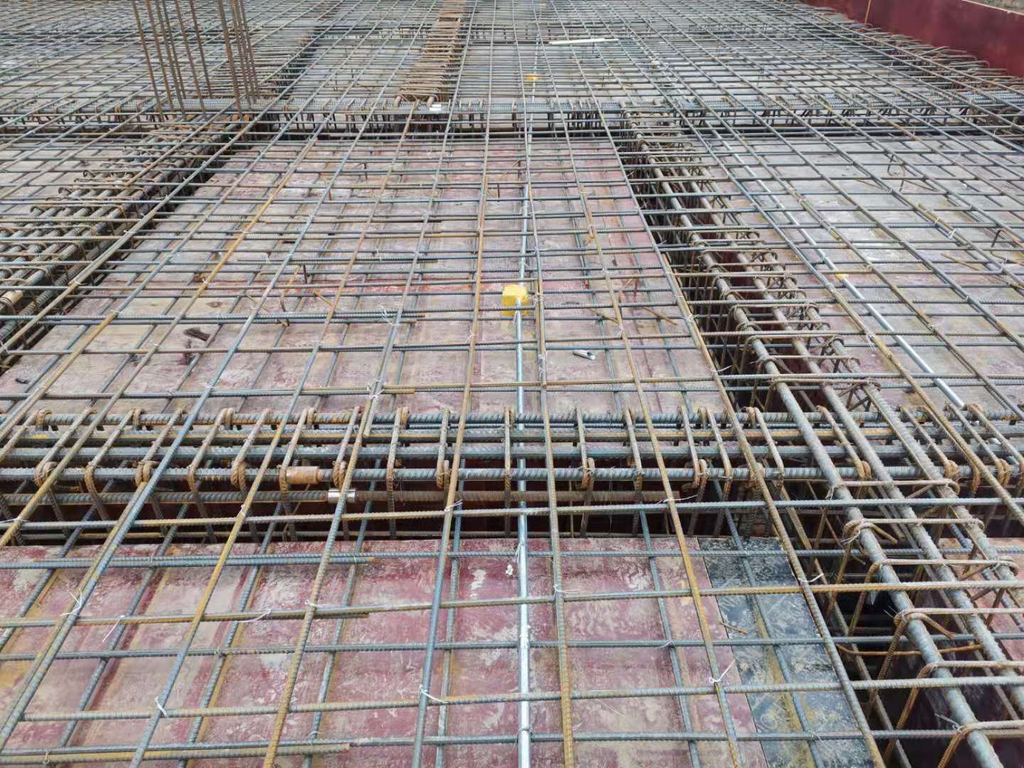 說明: 8c597916ec0b88669d8f56cbfe45f5e