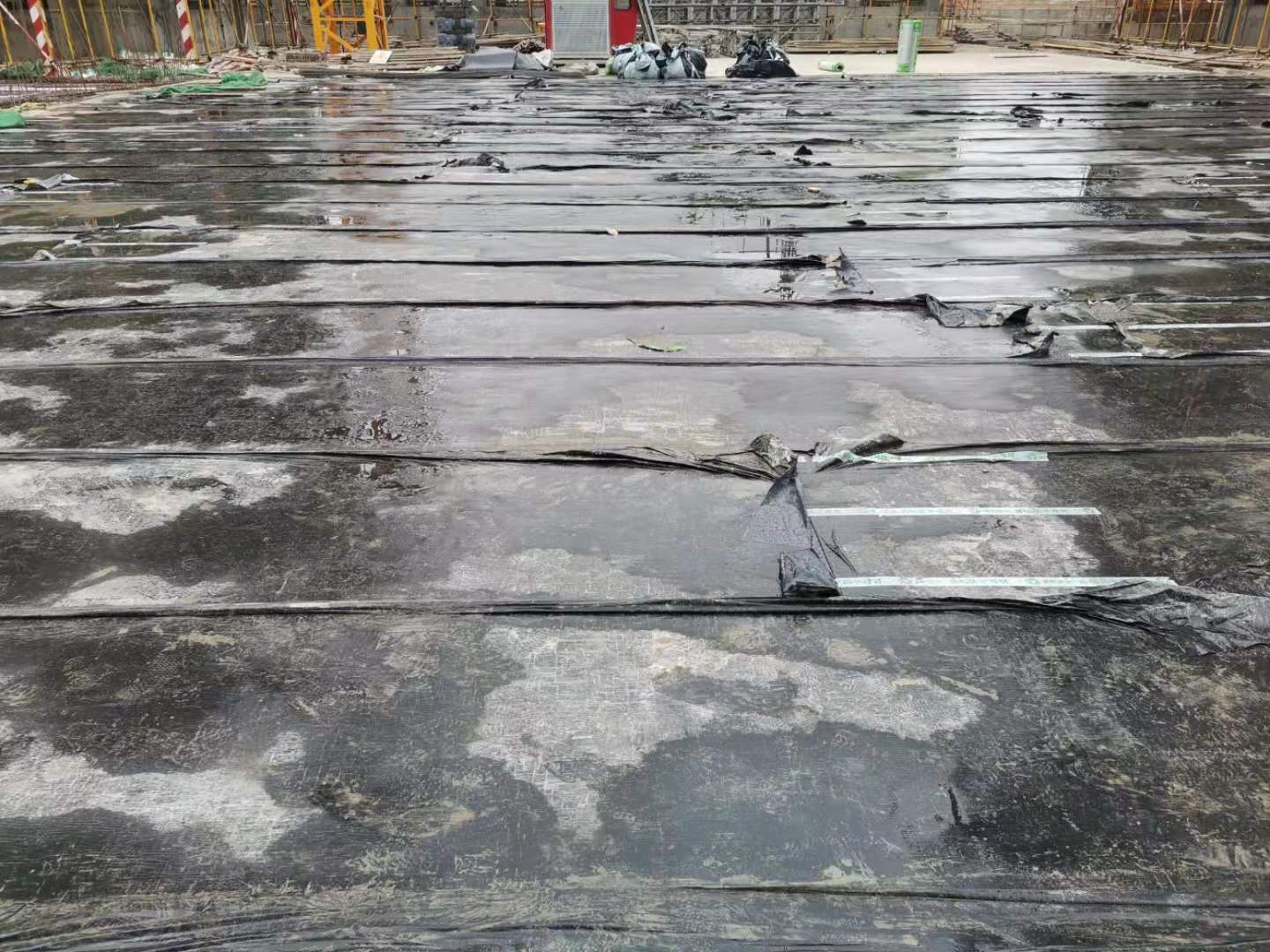 說明: 6ec5d5f9c07fe4f691398e2c4cea900