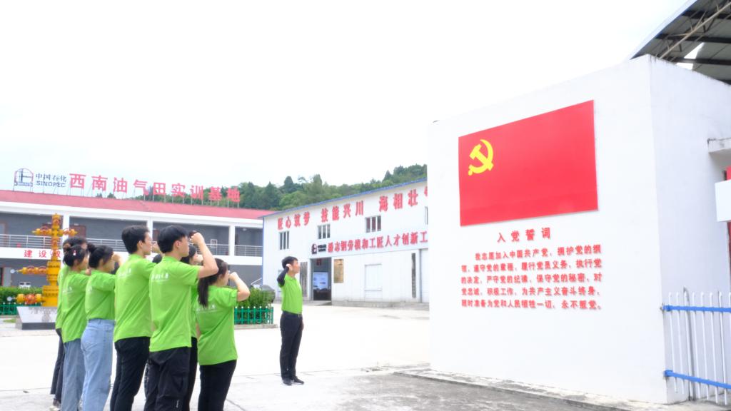實(shí)踐隊(duì)重溫入黨誓詞.JPG