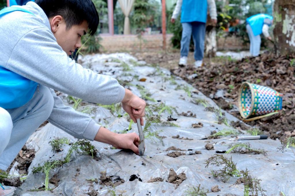 QQ圖片20211203164854.png QQ圖片20211203164854.png